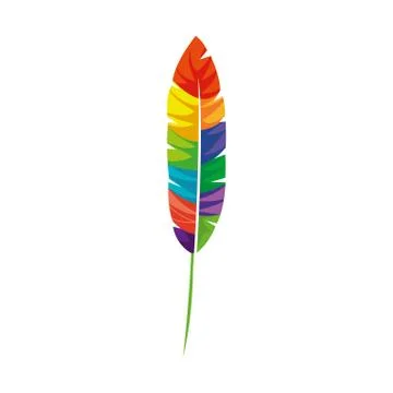 Exotic feather bird isolated icon 库存插图