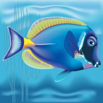 Exotic fish: Acanthurus Stock Illustration