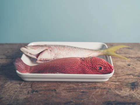 Exotic fish in tray 写真素材