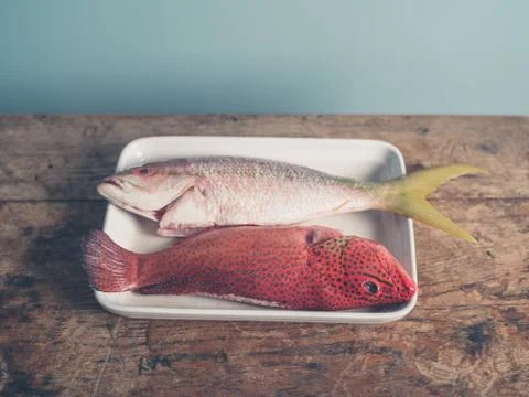Exotic fish in tray Stock Photos
