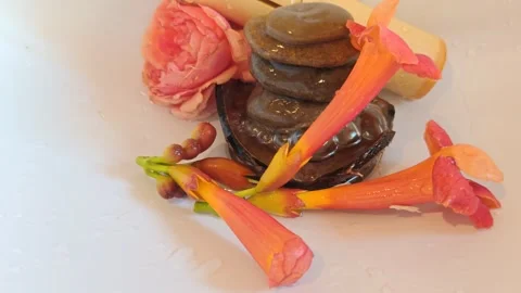 Exotic flowers composition Stock Footage 315697013