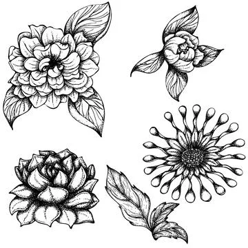 Exotic flowers set 2 Stock Illustration