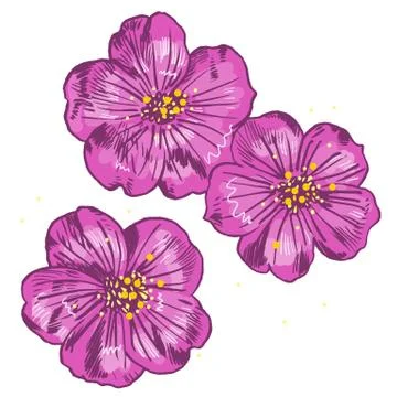 Exotic flowers set. Botanical vector vintage illustration. Design elements 스톡 일러스트