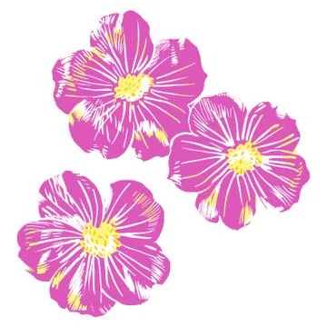 Exotic flowers set. Botanical vector vintage illustration. Design elements Stock Illustration