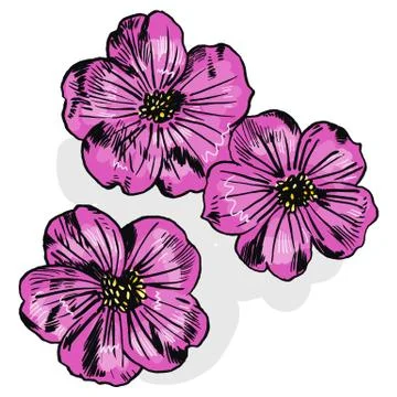 Exotic flowers set. Botanical vector vintage illustration. Design elements Stock Illustration