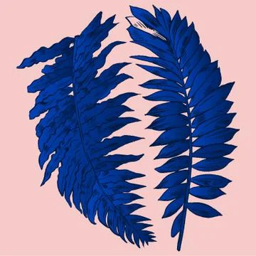 Exotic flowers set. Botanical vector vintage illustration Stock Illustration