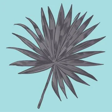 Exotic flowers set. Botanical vector vintage illustration イラスト素材