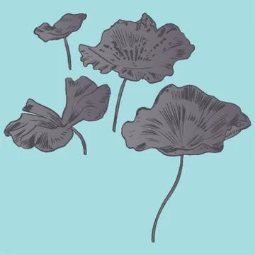 Exotic flowers set. Botanical vector vintage illustration Stock Illustration
