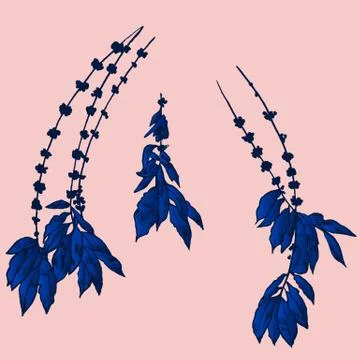 Exotic flowers set. Botanical vector vintage illustration Stock Illustration