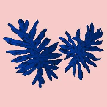 Exotic flowers set. Botanical vector vintage illustration Stock Illustration