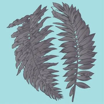 Exotic flowers set. Botanical vector vintage illustration Stock Illustration