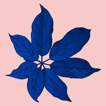Exotic flowers set. Botanical vector vintage illustration Stock Illustration