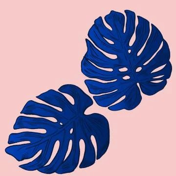 Exotic flowers set. Botanical vector vintage illustration Illustrazione stock