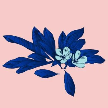 Exotic flowers set. Botanical vector vintage illustration Stock Illustration