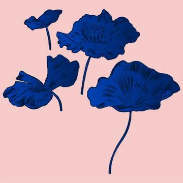 Exotic flowers set. Botanical vector vintage illustration Stock Illustration