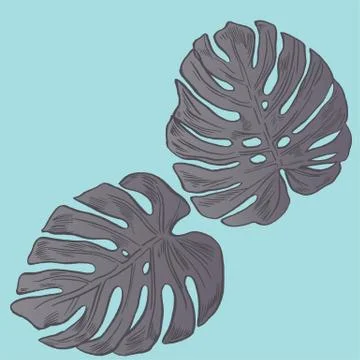 Exotic flowers set. Botanical vector vintage illustration Stock Illustration