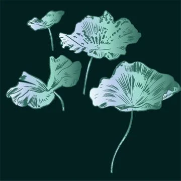 Exotic flowers set. Botanical vector vintage illustration Illustrazione stock
