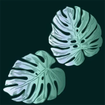 Exotic flowers set. Botanical vector vintage illustration Stock Illustration