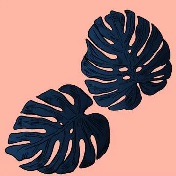 Exotic flowers set. Botanical vector vintage illustration Stock Illustration