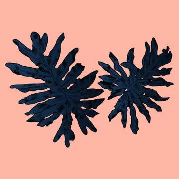 Exotic flowers set. Botanical vector vintage illustration Stock Illustration