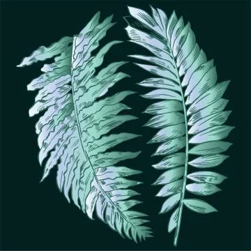 Exotic flowers set. Botanical vector vintage illustration Stock Illustration