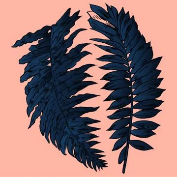 Exotic flowers set. Botanical vector vintage illustration Stock Illustration