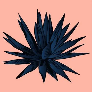 Exotic flowers set. Botanical vector vintage illustration Stock Illustration