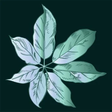 Exotic flowers set. Botanical vector vintage illustration Stock Illustration