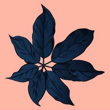 Exotic flowers set. Botanical vector vintage illustration Stock Illustration