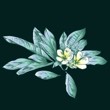 Exotic flowers set. Botanical vector vintage illustration Stock Illustration