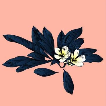 Exotic flowers set. Botanical vector vintage illustration Stock Illustration