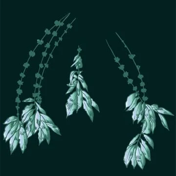 Exotic flowers set. Botanical vector vintage illustration Stock Illustration