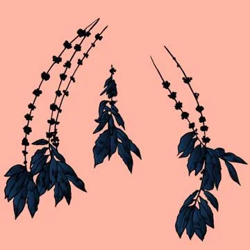 Exotic flowers set. Botanical vector vintage illustration Illustrazione stock