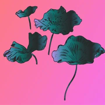 Exotic flowers set. Botanical vector vintage illustration Stock Illustration