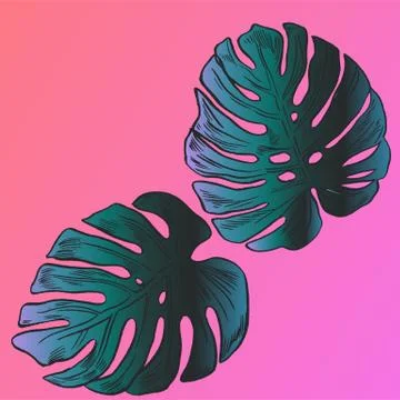 Exotic flowers set. Botanical vector vintage illustration Stock Illustration