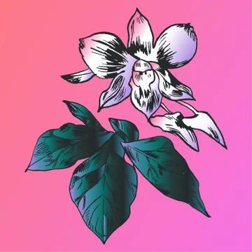 Exotic flowers set. Botanical vector vintage illustration Stock Illustration