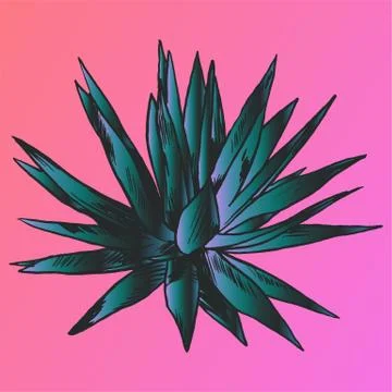 Exotic flowers set. Botanical vector vintage illustration Stock Illustration