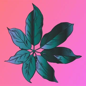 Exotic flowers set. Botanical vector vintage illustration Stock Illustration