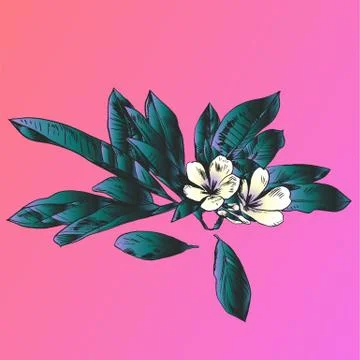 Exotic flowers set. Botanical vector vintage illustration Stock Illustration