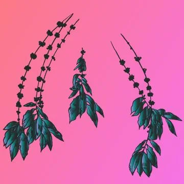 Exotic flowers set. Botanical vector vintage illustration Illustrazione stock