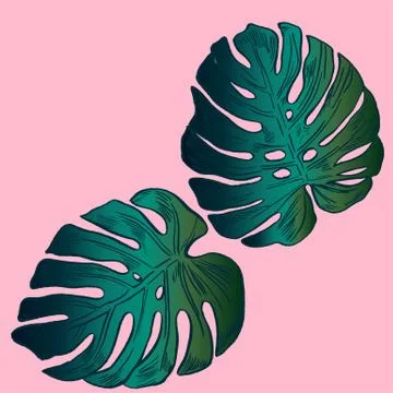 Exotic flowers set. Botanical vector vintage illustration Stock Illustration