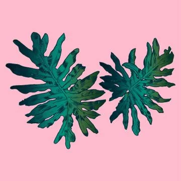 Exotic flowers set. Botanical vector vintage illustration Stock Illustration