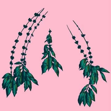 Exotic flowers set. Botanical vector vintage illustration Illustrazione stock
