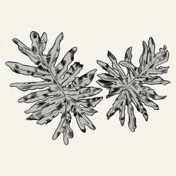 Exotic flowers set. Botanical vector vintage illustration Illustrazione stock