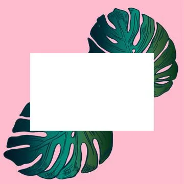 Exotic flowers set. Botanical vector vintage illustration Stock Illustration