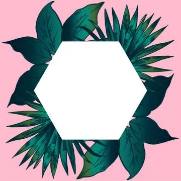 Exotic flowers set. Botanical vector vintage illustration Stock Illustration