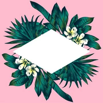 Exotic flowers set. Botanical vector vintage illustration Stock Illustration