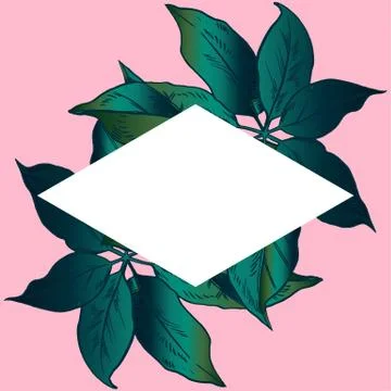 Exotic flowers set. Botanical vector vintage illustration Stock Illustration