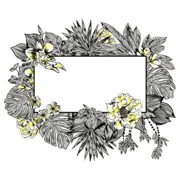 Exotic flowers set. Botanical vector vintage illustration Stock Illustration
