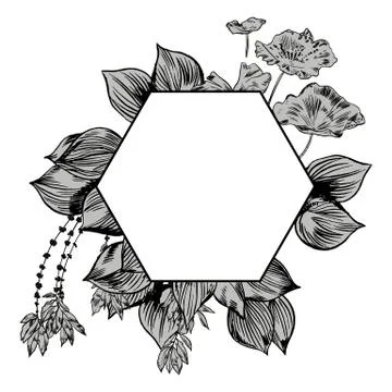 Exotic flowers set. Botanical vector vintage illustration Stock Illustration
